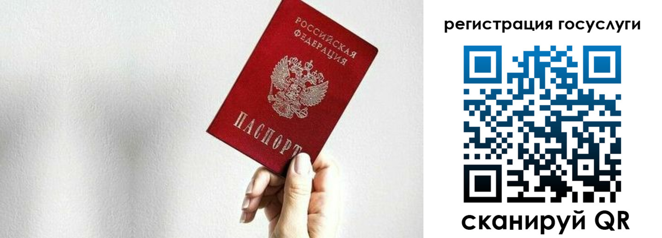 прописка гарантия в Чудово